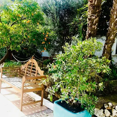 Craig, Spacious With Amazing Garden And Private Heated Pool Holiday home Rotova